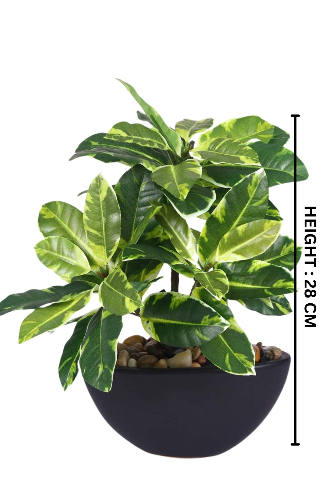 Everlasting Bonsai  A Touch of  Serenity