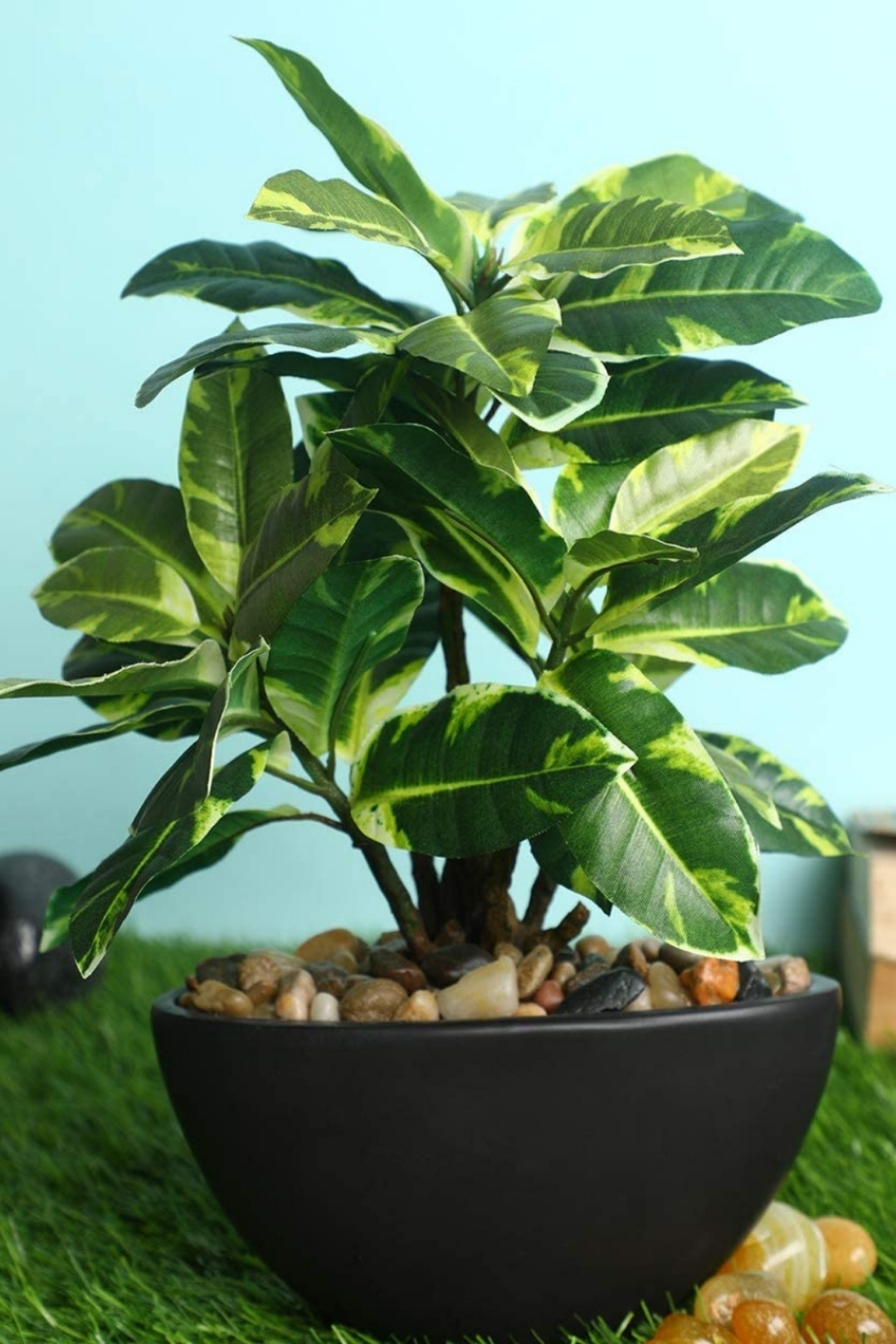 Everlasting Bonsai  A Touch of  Serenity