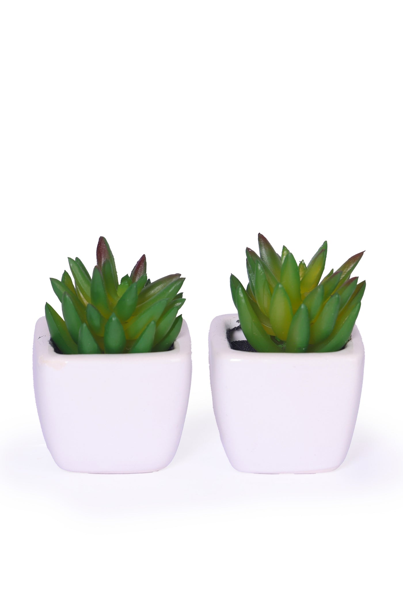 PolliNation Artificial Succulent With Ceramic Pot Set of 2 - Green