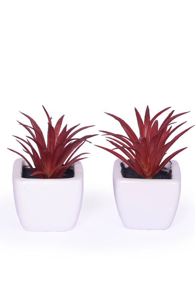 Artificial Red Succulent Bonsai flower plant  with Ceramic Pot Pack of 2