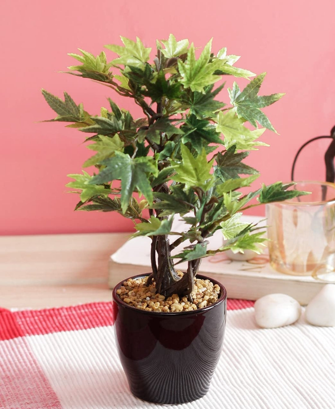 Minimal Maple Bonsai In Black Ceramic Pot