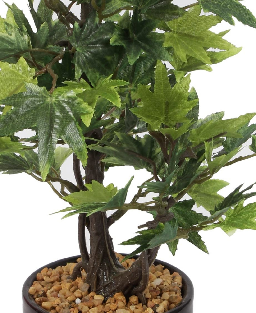 Minimal Maple Bonsai In Black Ceramic Pot