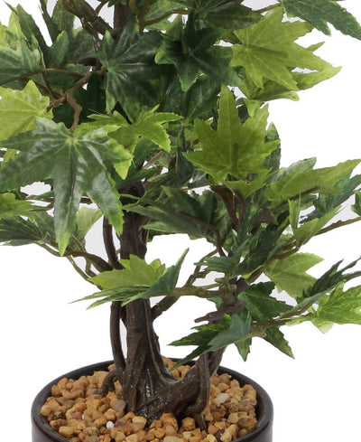 Minimal Maple Bonsai In Black Ceramic Pot
