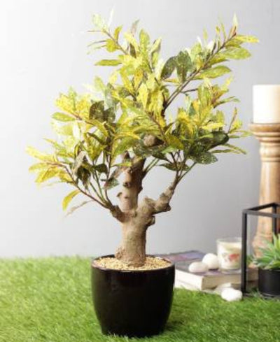 Stunning Artificial Croton Tabletop Plant In Black Ceramic Pot