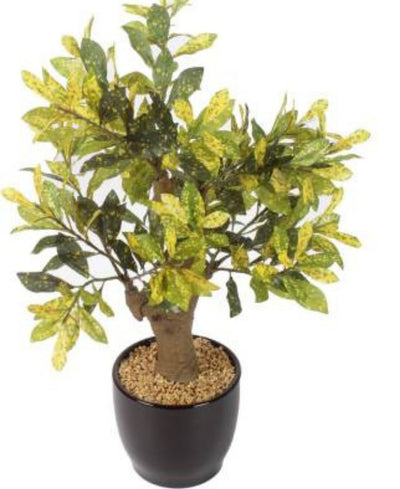 Stunning Artificial Croton Tabletop Plant In Black Ceramic Pot