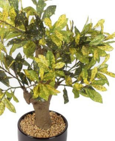 Stunning Artificial Croton Tabletop Plant In Black Ceramic Pot