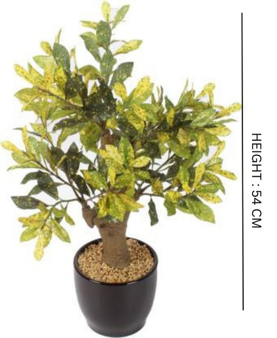 Stunning Artificial Croton Tabletop Plant In Black Ceramic Pot