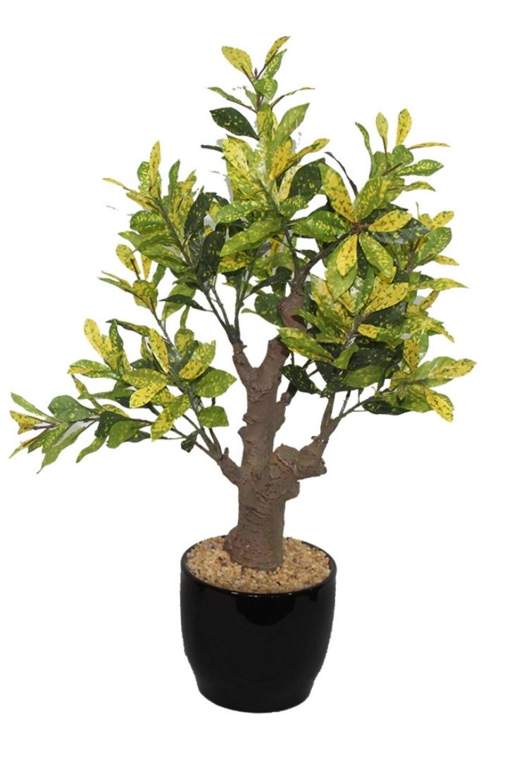 Stunning Artificial Croton Bonsai with Black Ceramic Pot