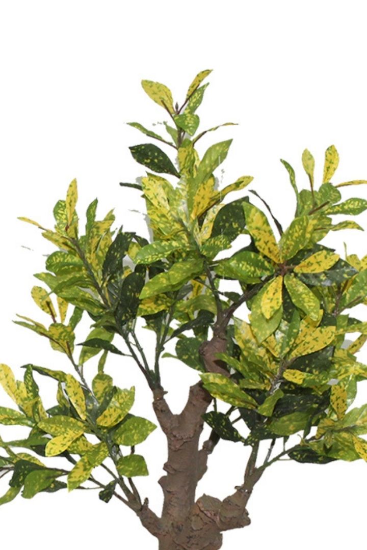 Stunning Artificial Croton Bonsai with Black Ceramic Pot