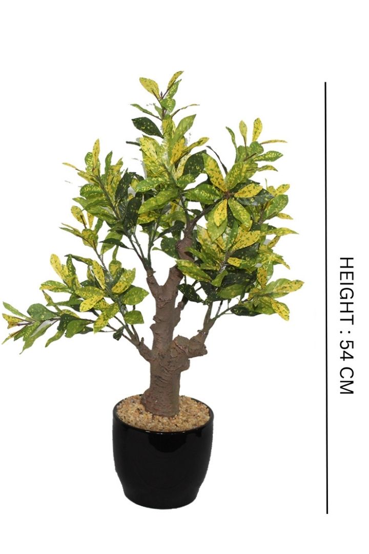 Stunning Artificial Croton Bonsai with Black Ceramic Pot