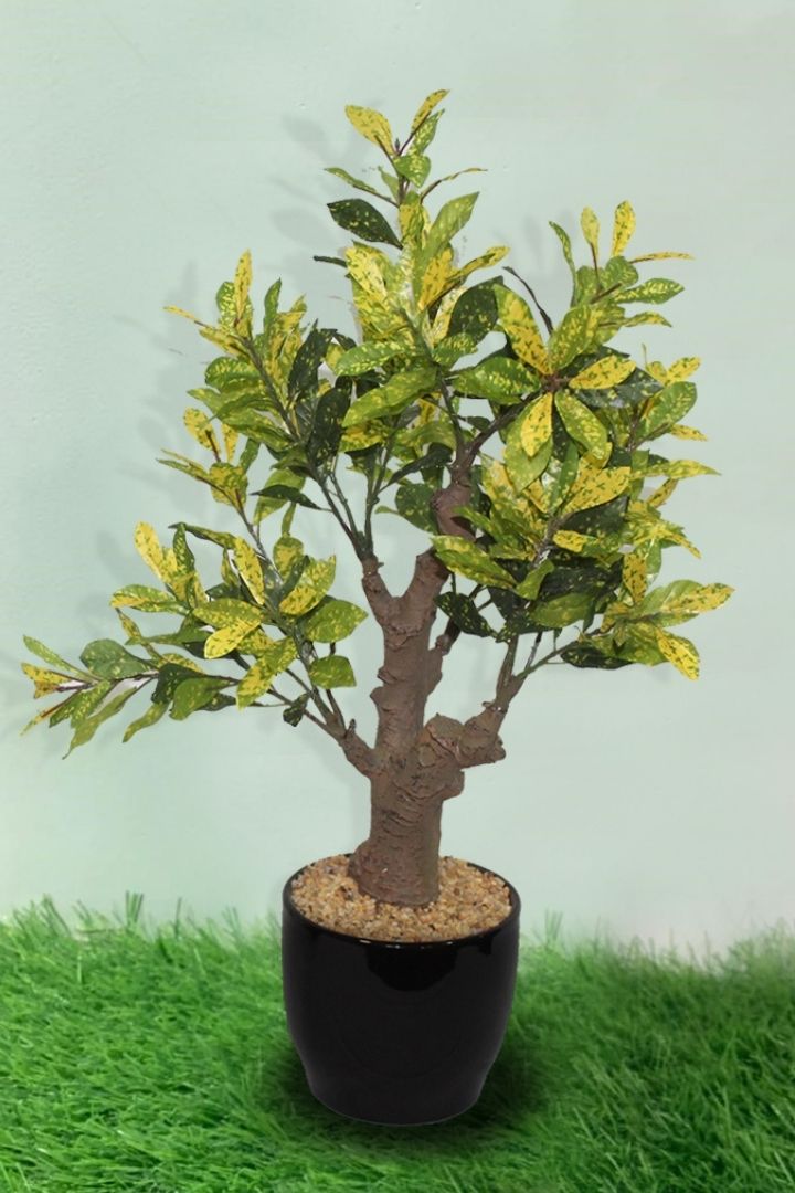 Stunning Artificial Croton Bonsai with Black Ceramic Pot