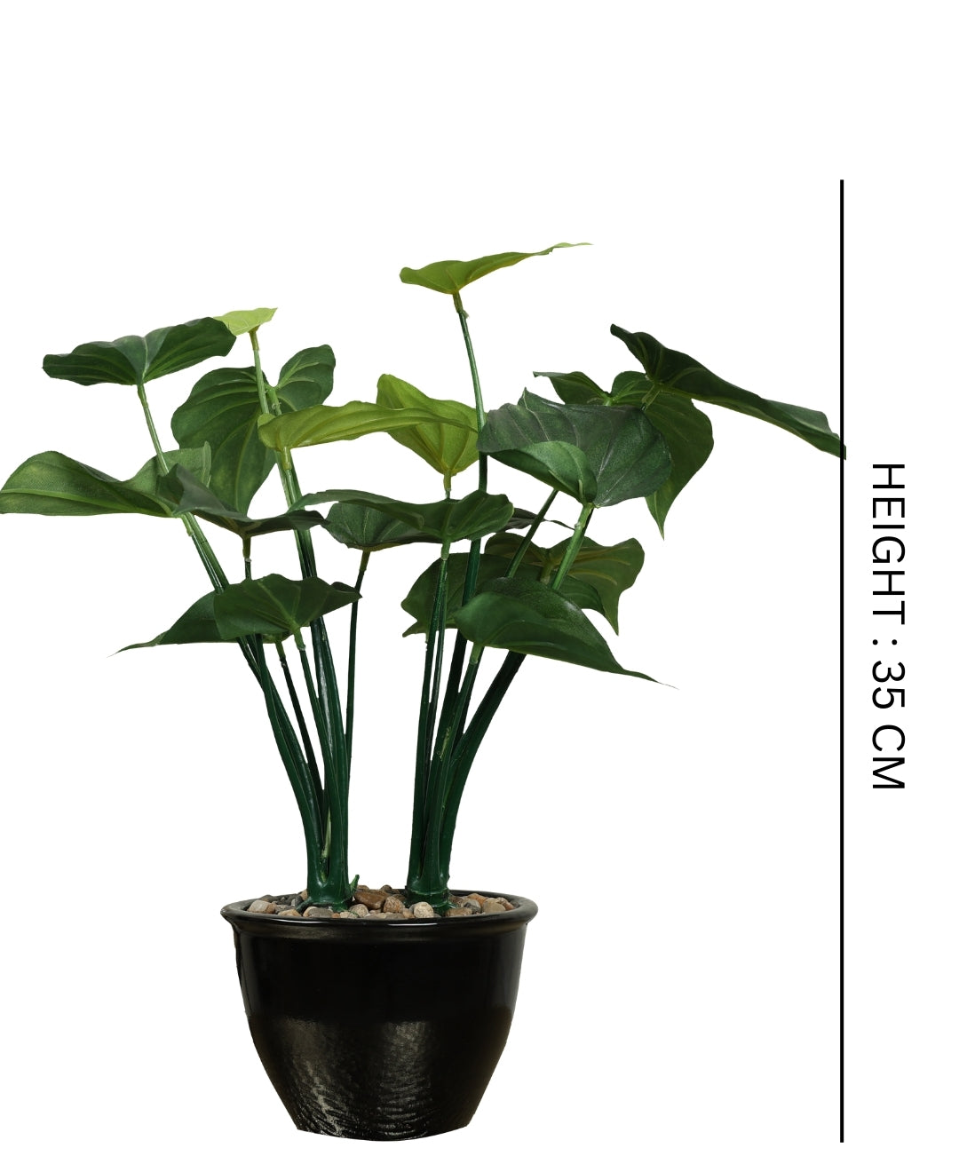 Beautifully Crafted Bonsai In A Black Ceramic Pot