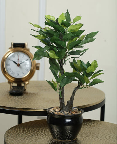 Graceful Ficus Artificial Bonsai A Timeless Accent For Your Space