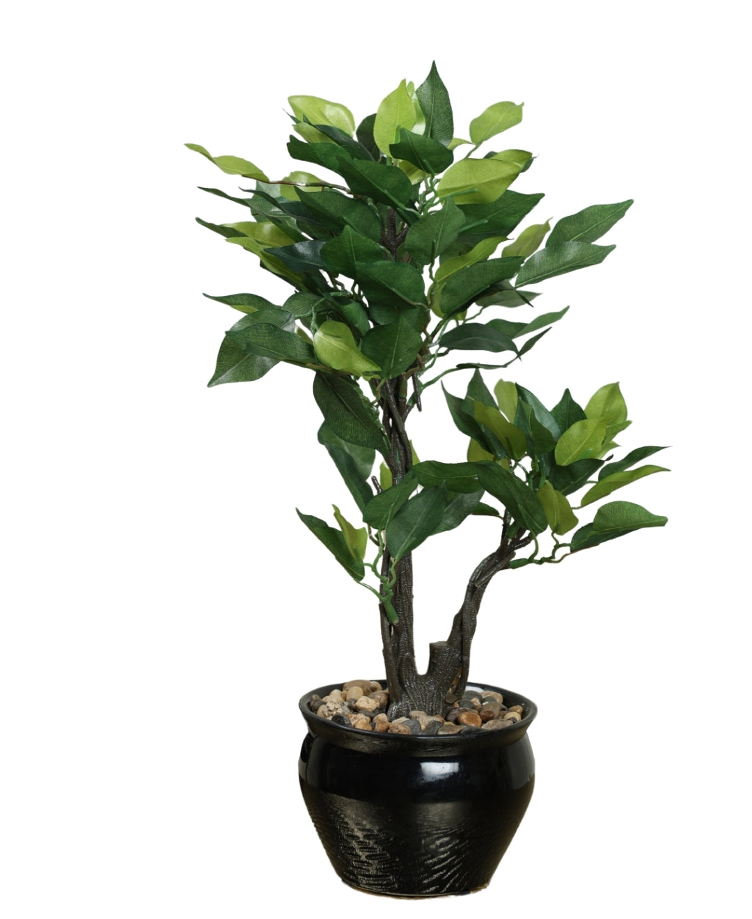 Graceful Ficus Artificial Bonsai A Timeless Accent For Your Space