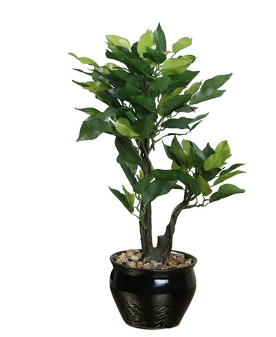 Graceful Ficus Artificial Bonsai A Timeless Accent For Your Space