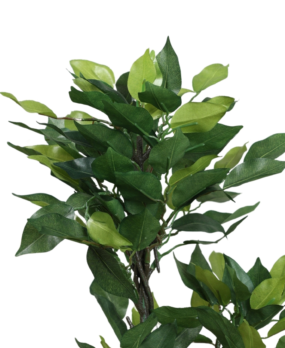 Graceful Ficus Artificial Bonsai A Timeless Accent For Your Space