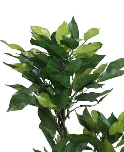 Graceful Ficus Artificial Bonsai A Timeless Accent For Your Space