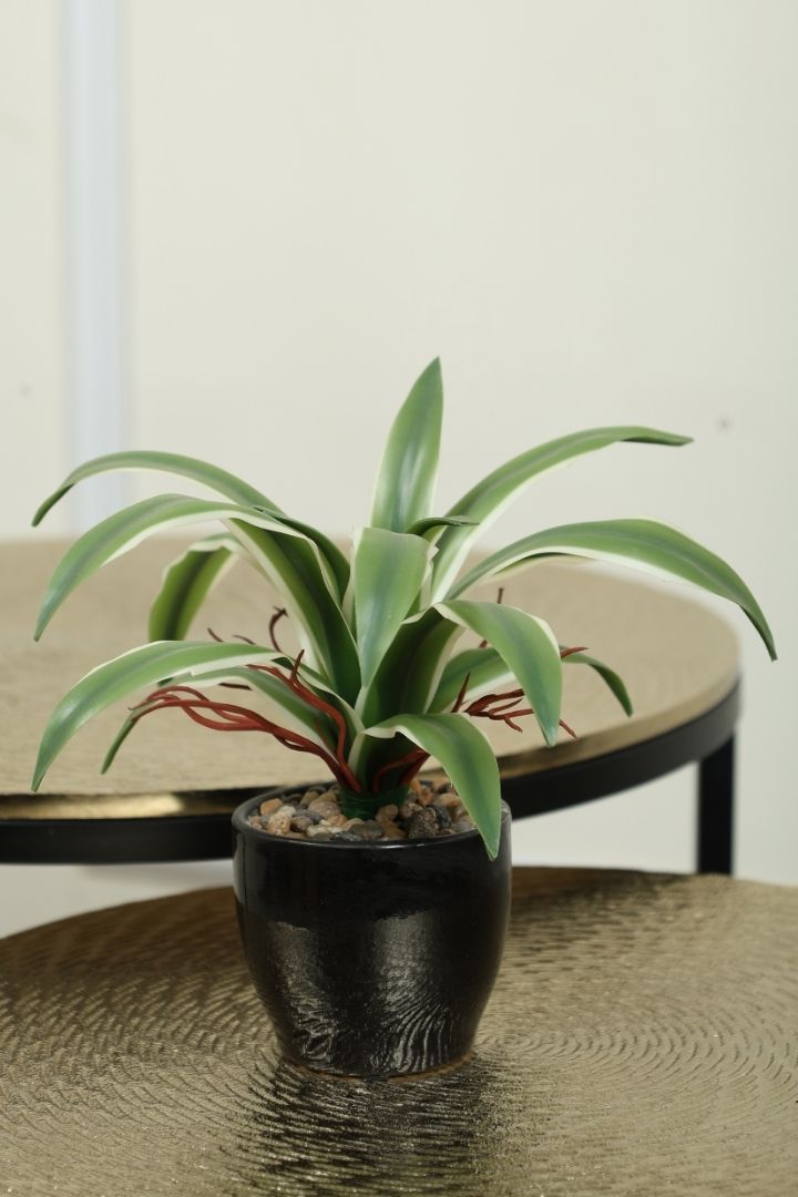 Natural-Looking Artificial Bonsai