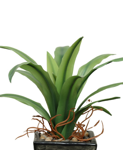 Nature'S Bliss-Medium Real Touch Artificial Bonsai In Ceramic Pot