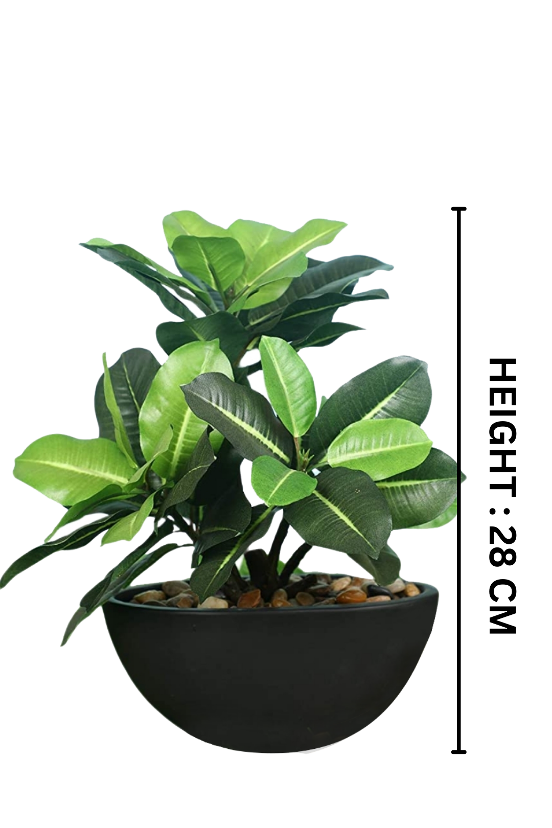 Everlasting Bonsai  A Touch of  Serenity