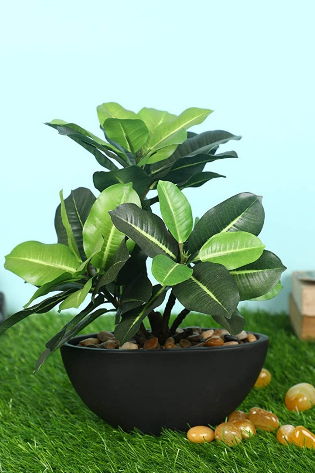 Everlasting Bonsai  A Touch of  Serenity