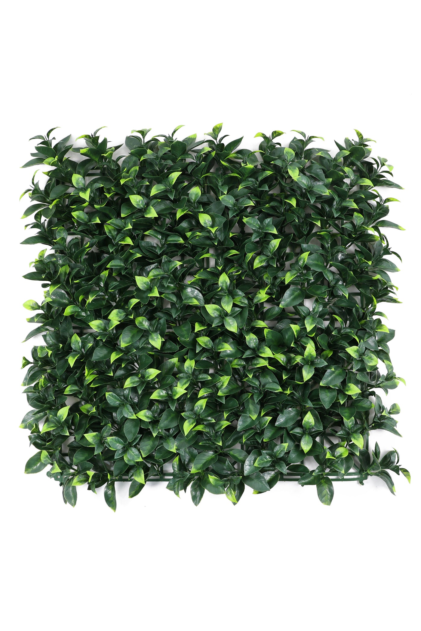 Artificial Green Vertical Garden Tiles for Outdoor and Indoor Use (Pack of 1)