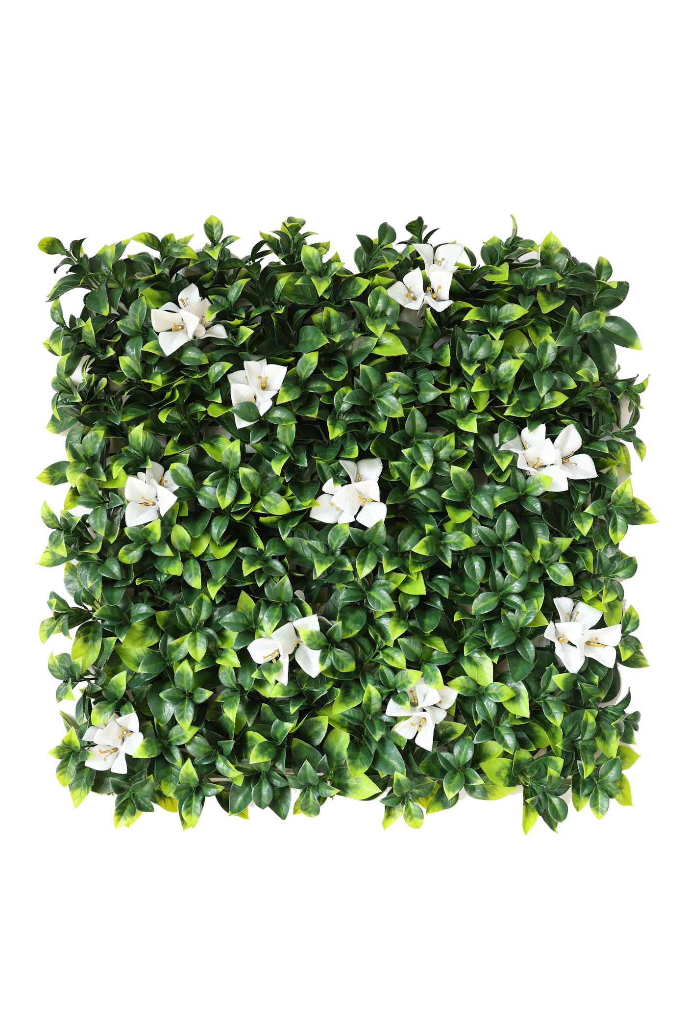 Blossom White Flowers With Long Lush Green Leaves Artificial Vertical Garden Wall Tile (Pack of 1)