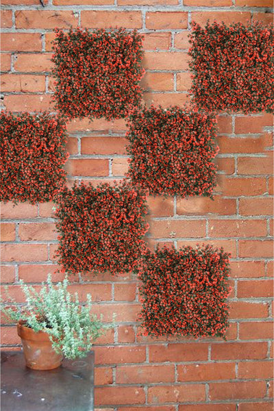 Red Shade Leaves Artificial Vertical Garden Wall Tile (Pack of 1)