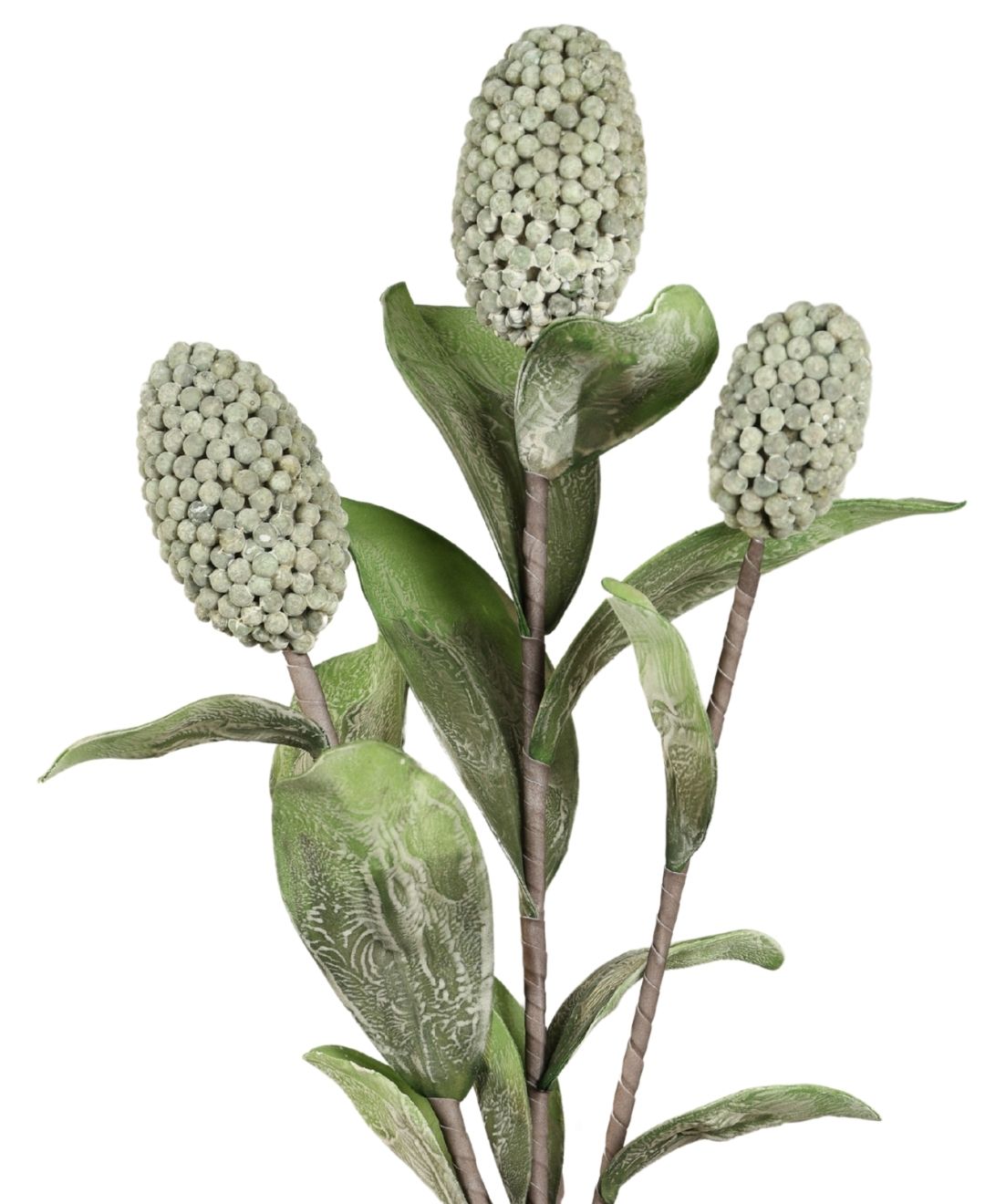 Pine Husk Stems Flower - Pack Of 1