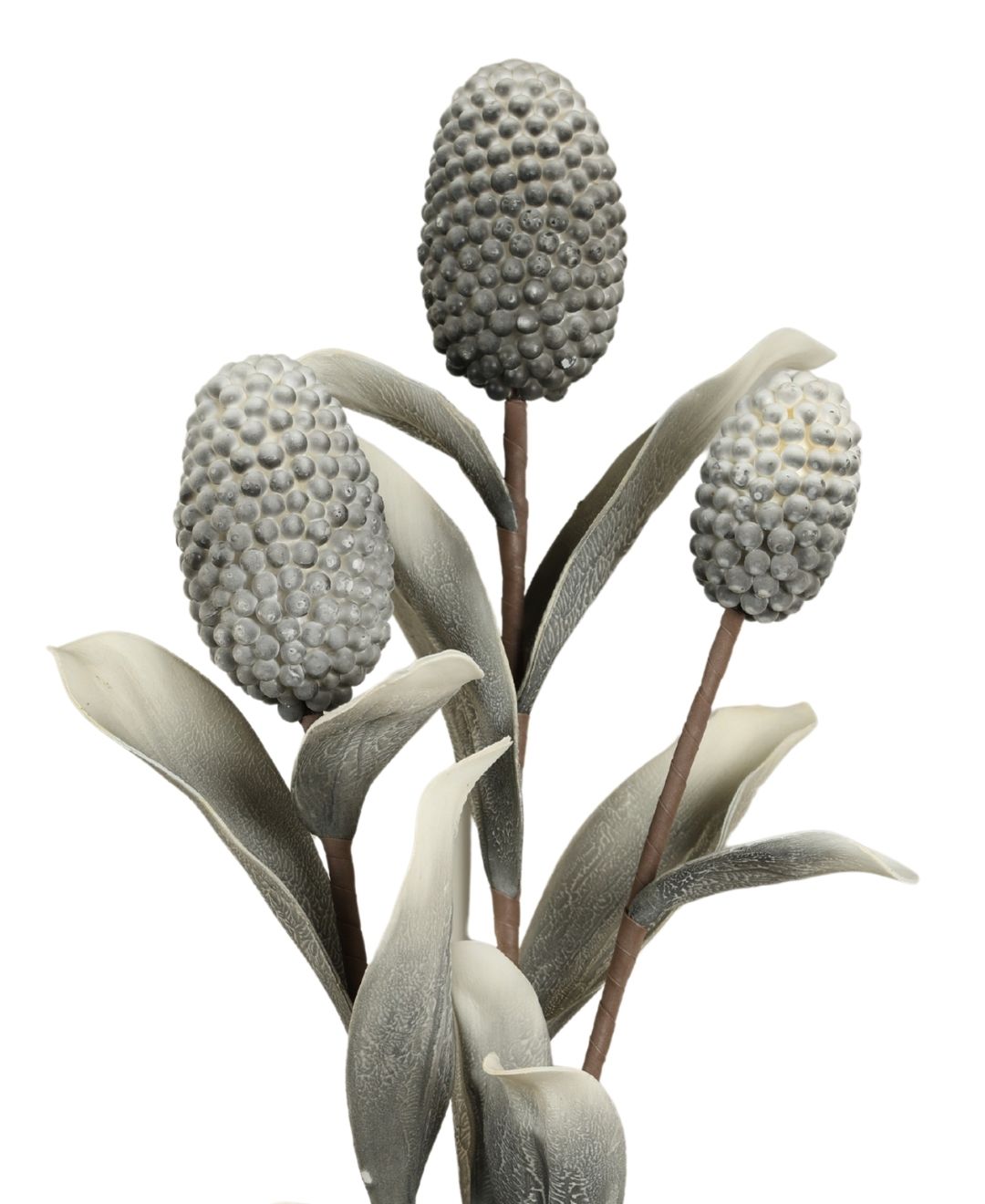 Pine Husk Stems Flower - Pack Of 1