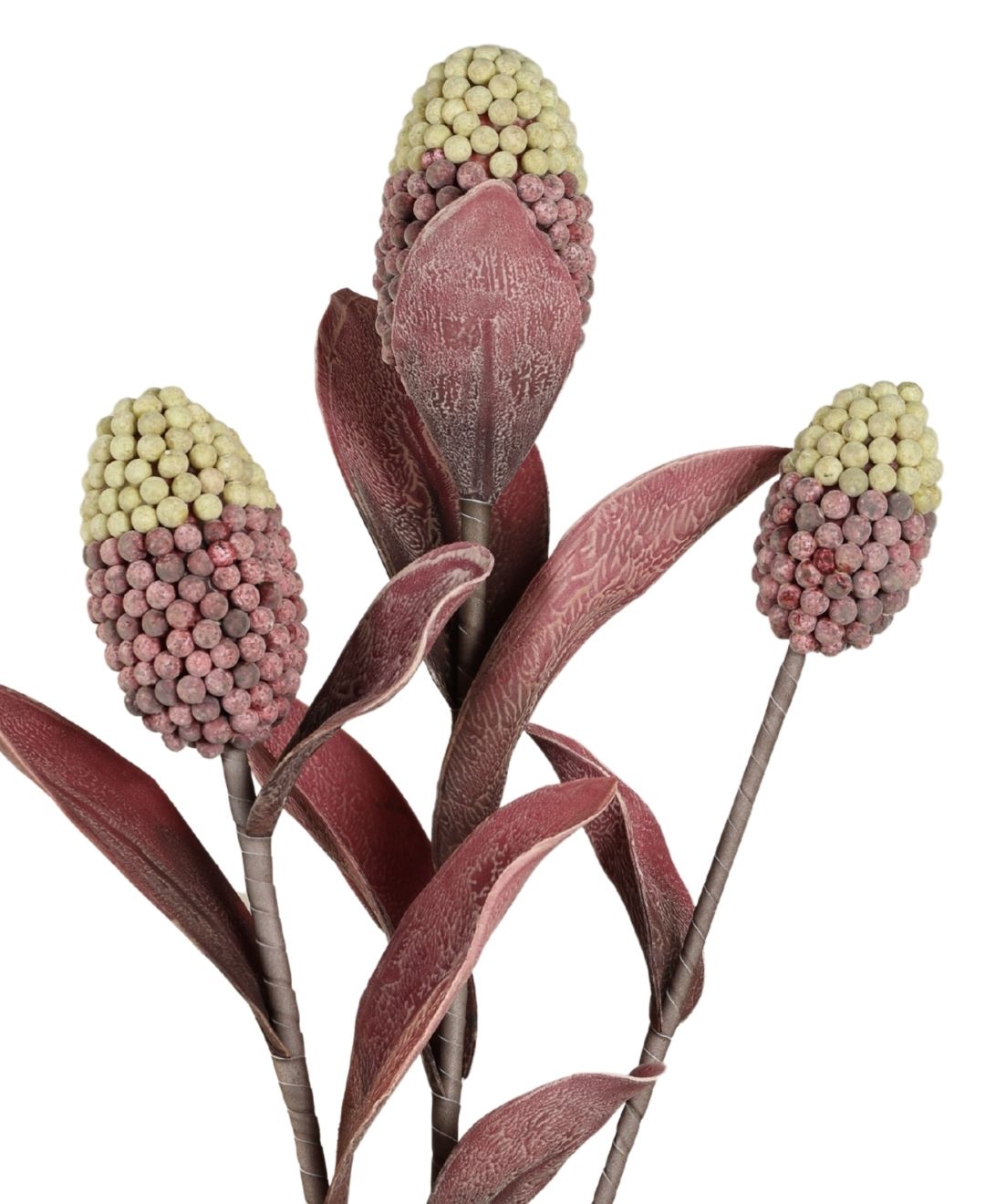 Pine Husk Stems Flower - Pack Of 1