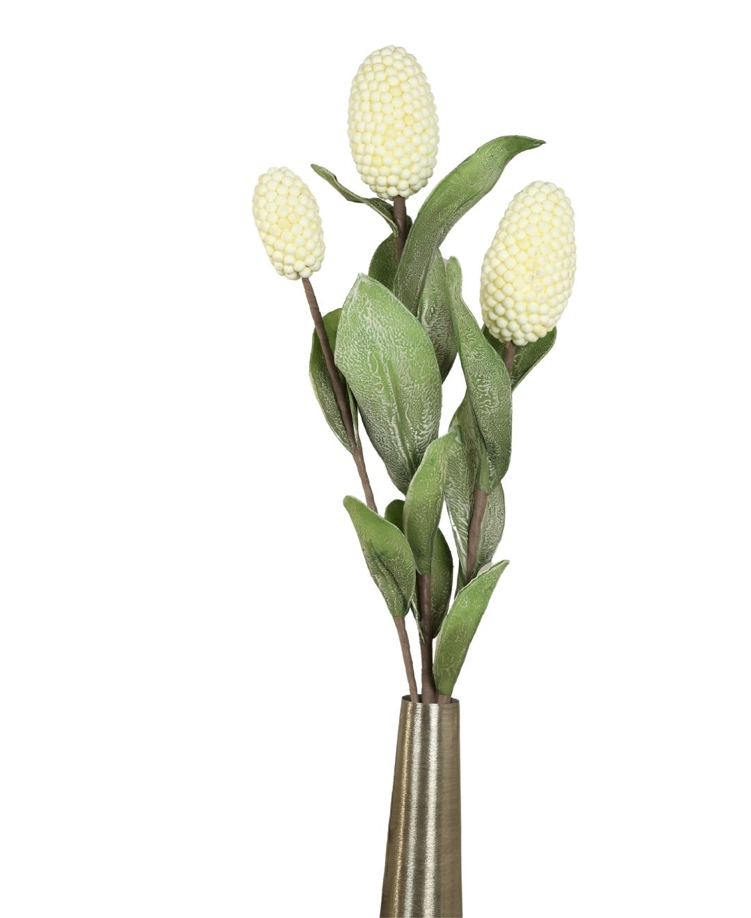 Pine Husk Stems Flower - Pack Of 1