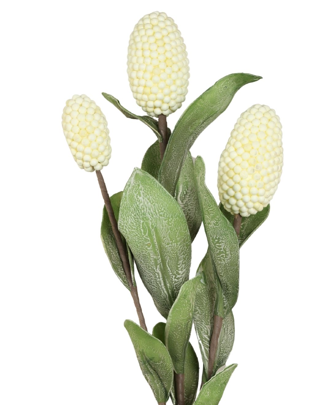 Pine Husk Stems Flower - Pack Of 1