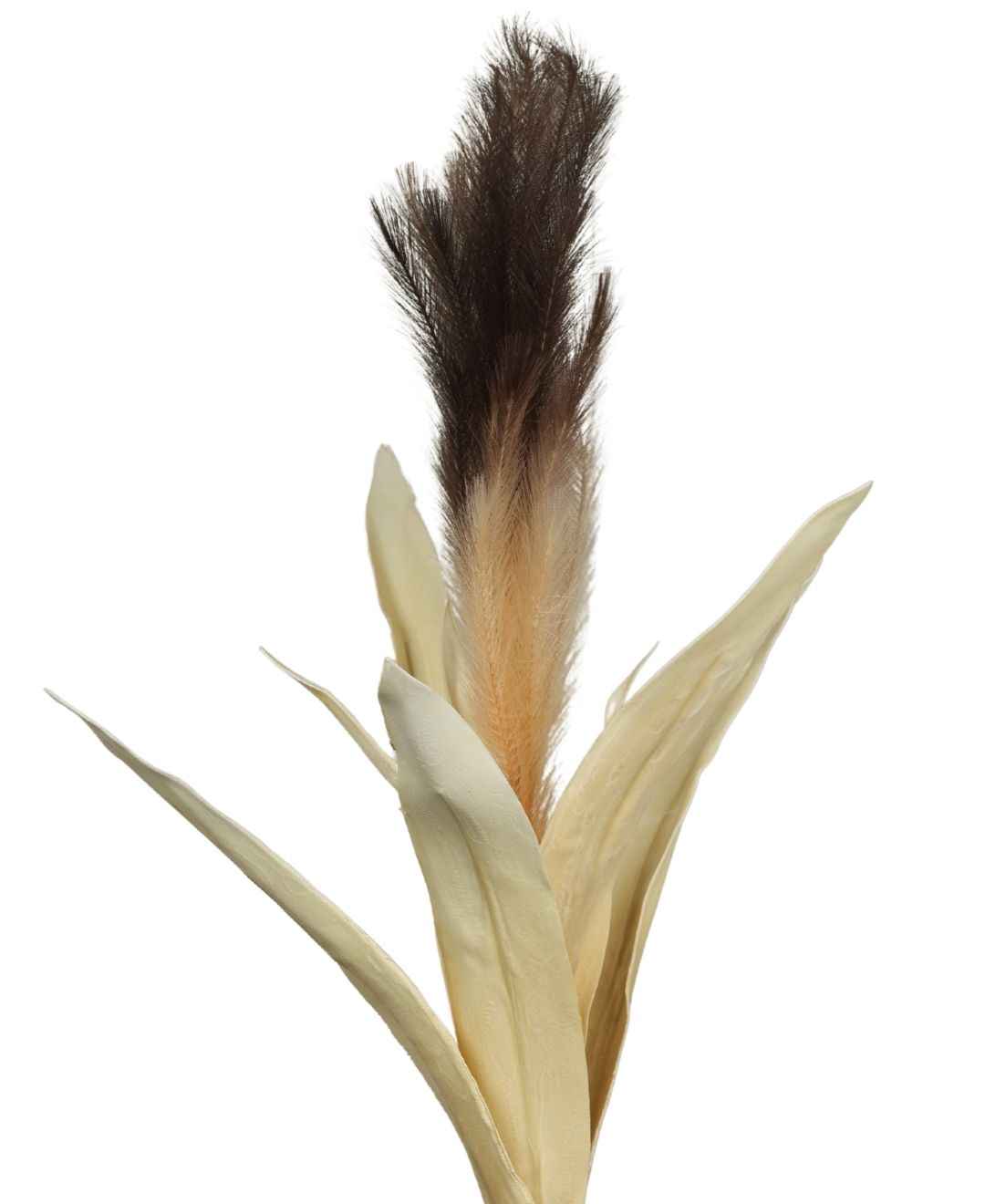 Whisperplume Foam Bloom Stem