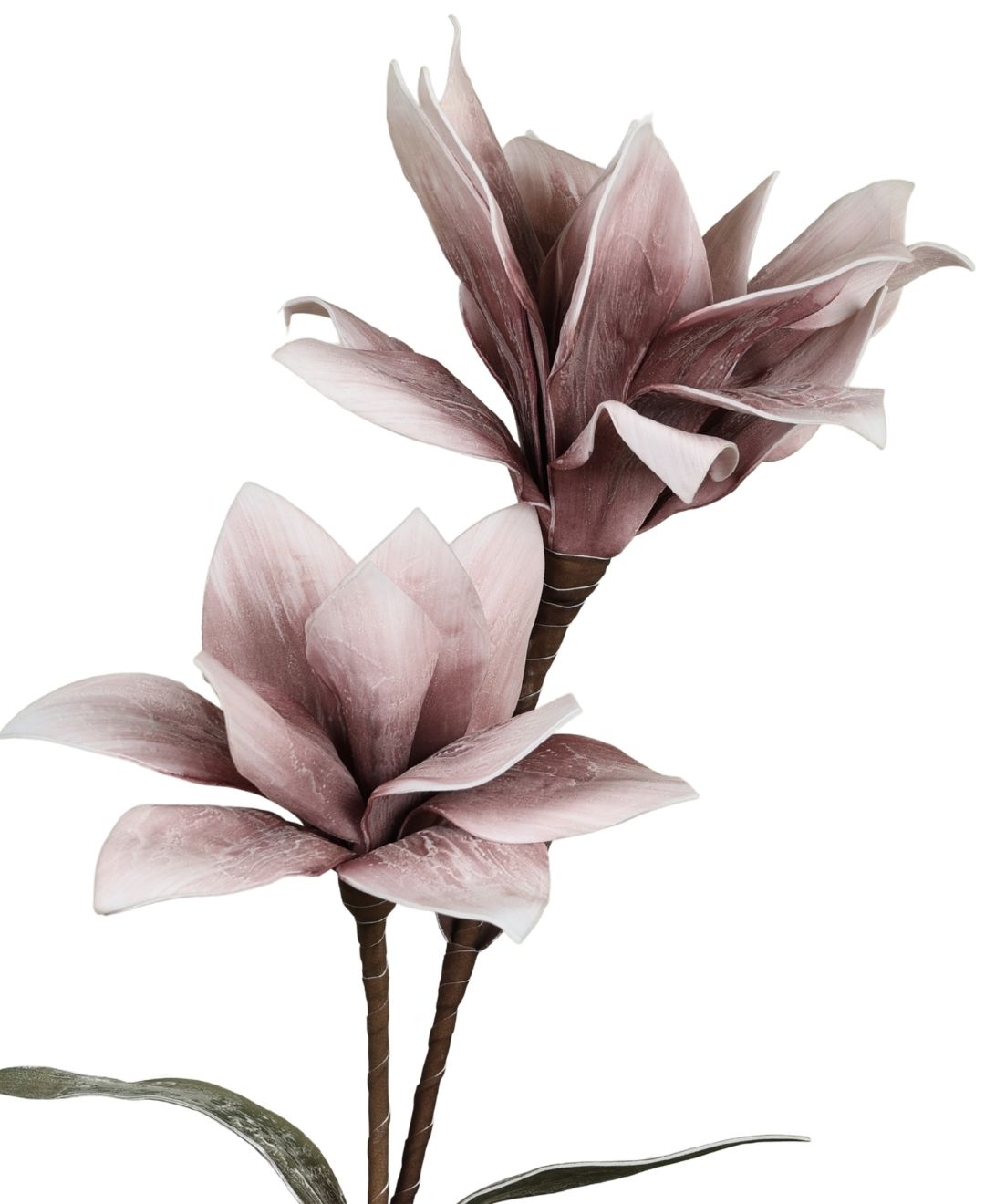 Velora Bloom Foam Stem