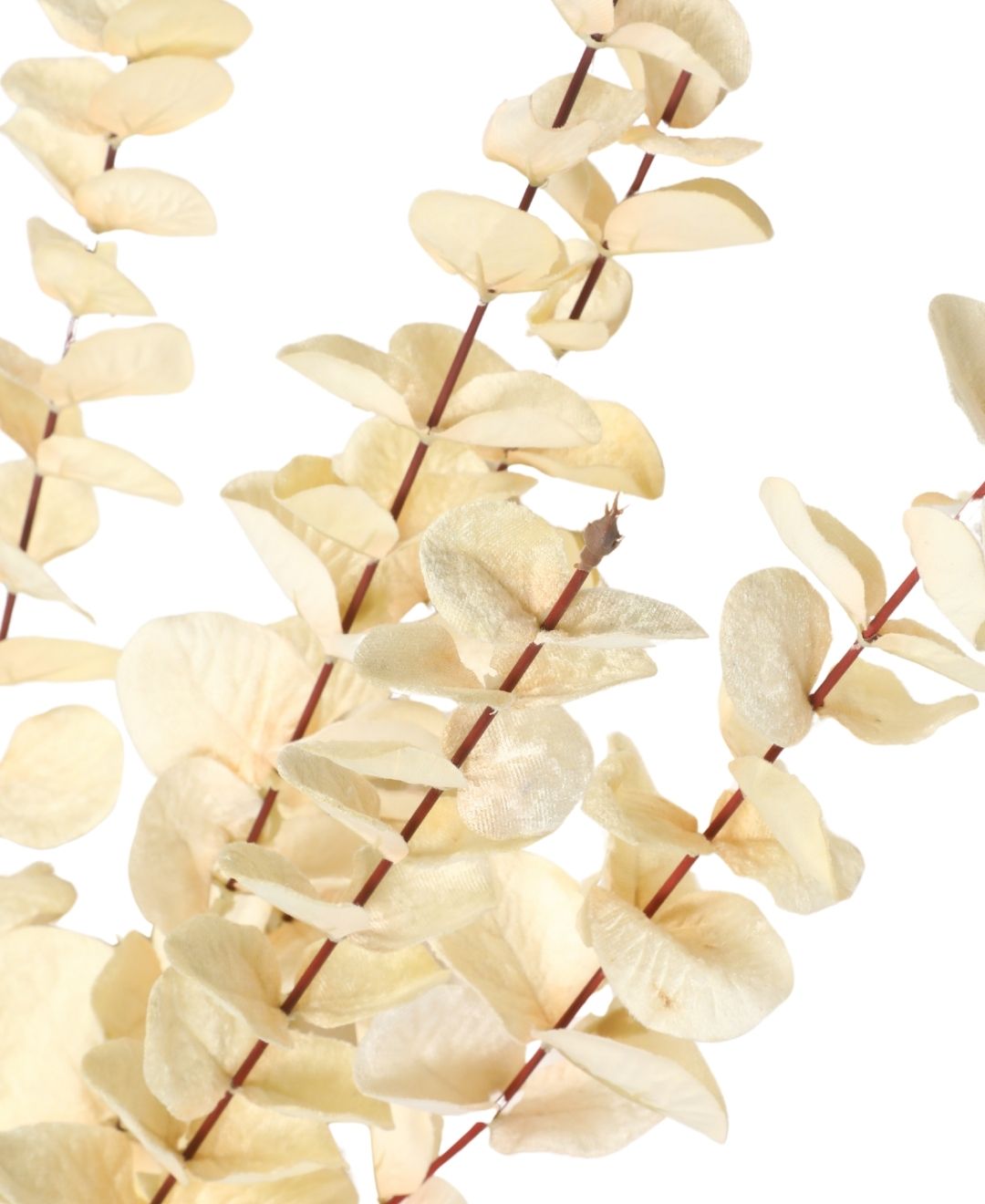 Velvileaf Premium Velvet Eucalyptus Faux Stick - Set Of 2