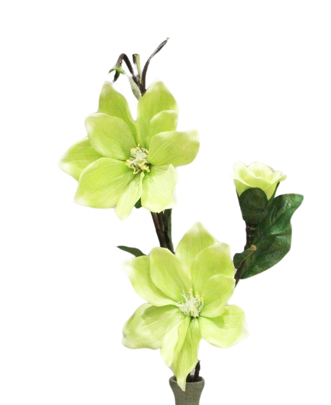 Petalmuse Magnolis Flower Stem (Pack Of 3)