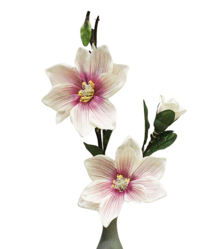Petalmuse Magnolis Flower Stem (Pack Of 3)