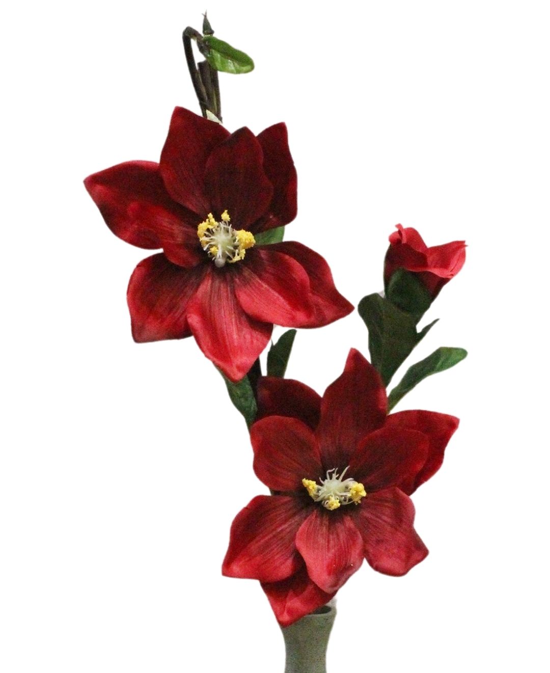 Petalmuse Magnolis Flower Stem (Pack Of 3)