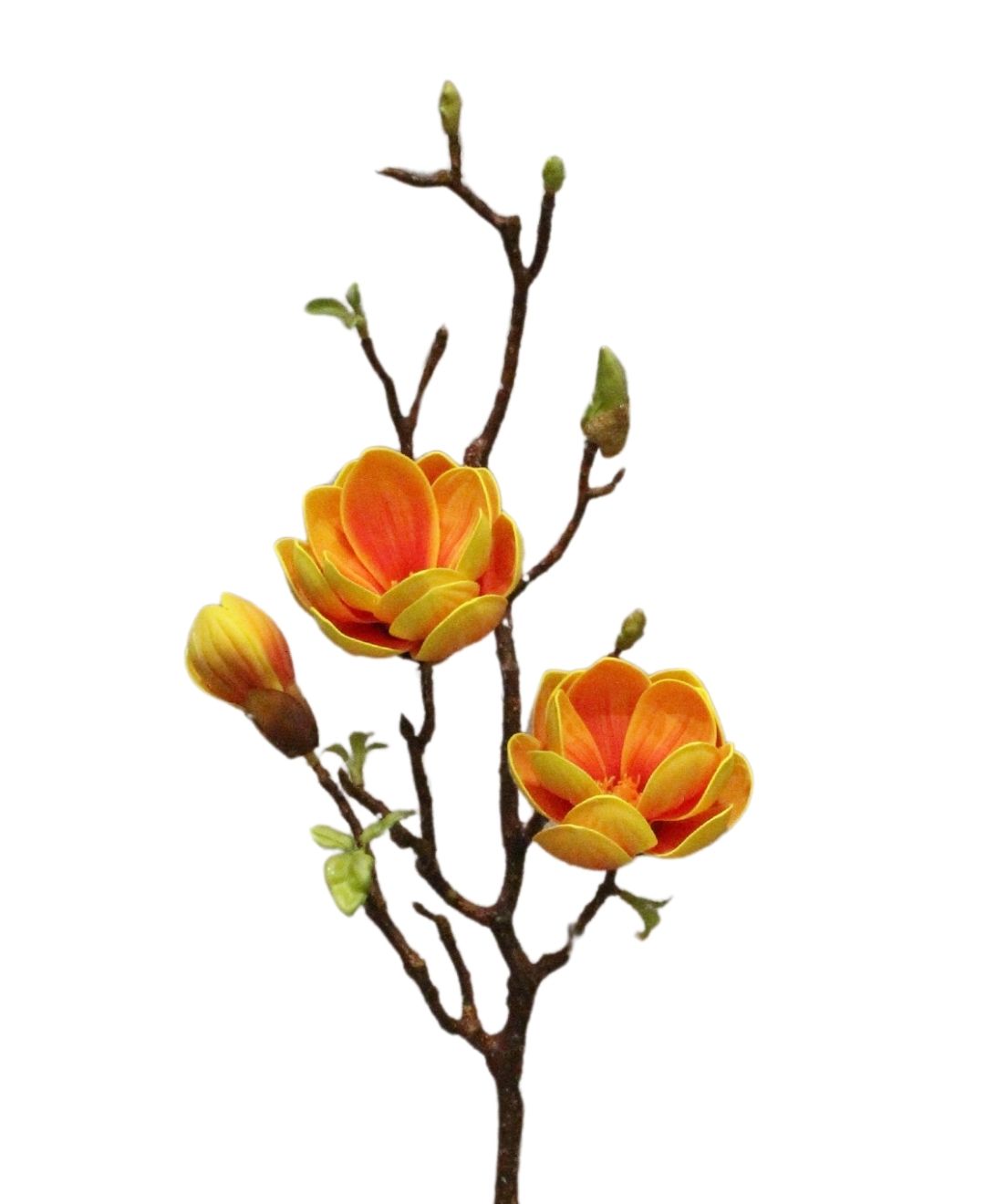 Timeless Magnolia Artificial Bloom For Home & Office (Pack Of 2)