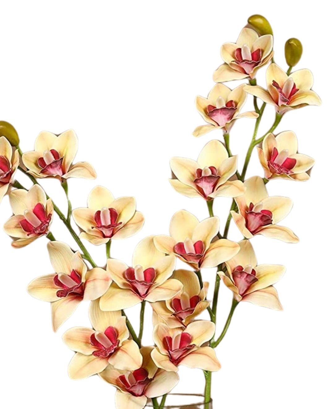 Orchid Grace Artificial Cymbidium Orchid Stem (Pack Of 4)