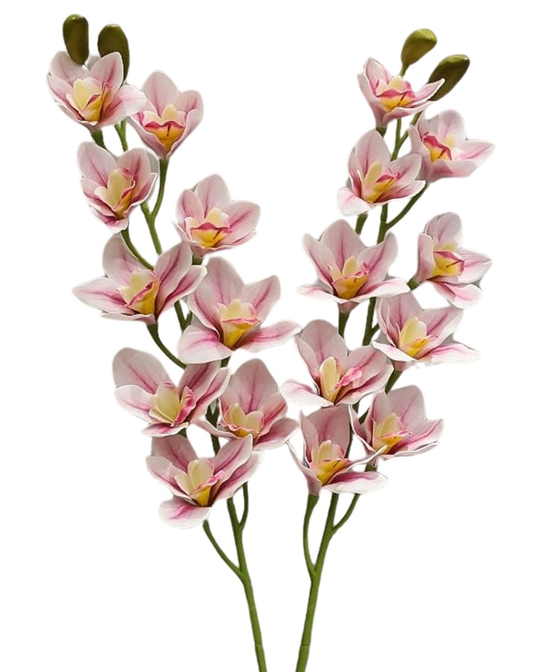 Orchid  Grace Artificial Cymbidium Orchid Stem (Pack Of 4)