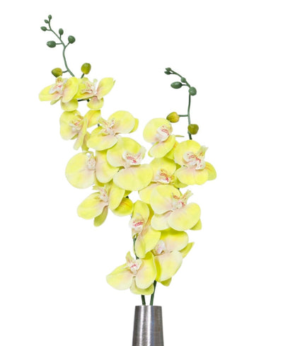 Evermuse Orchid Flower Stick (Pack Of 4)