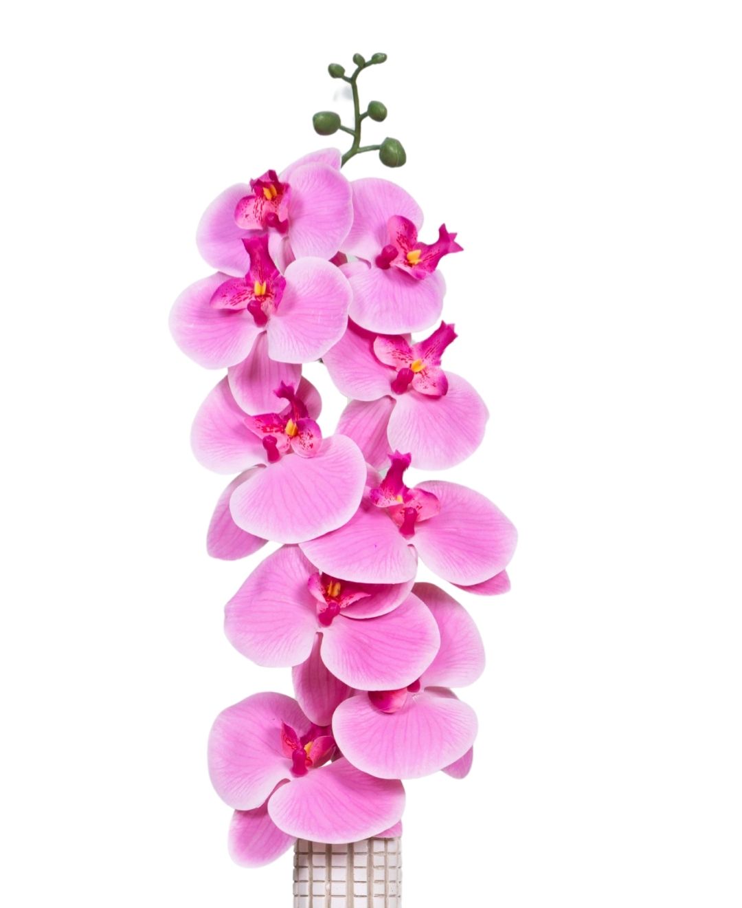 Forever Orchids: Elegant Faux Florals (Pack Of 4)