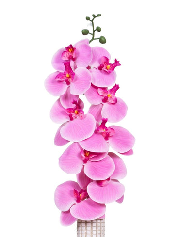 Forever Orchids: Elegant Faux Florals (Pack Of 4)