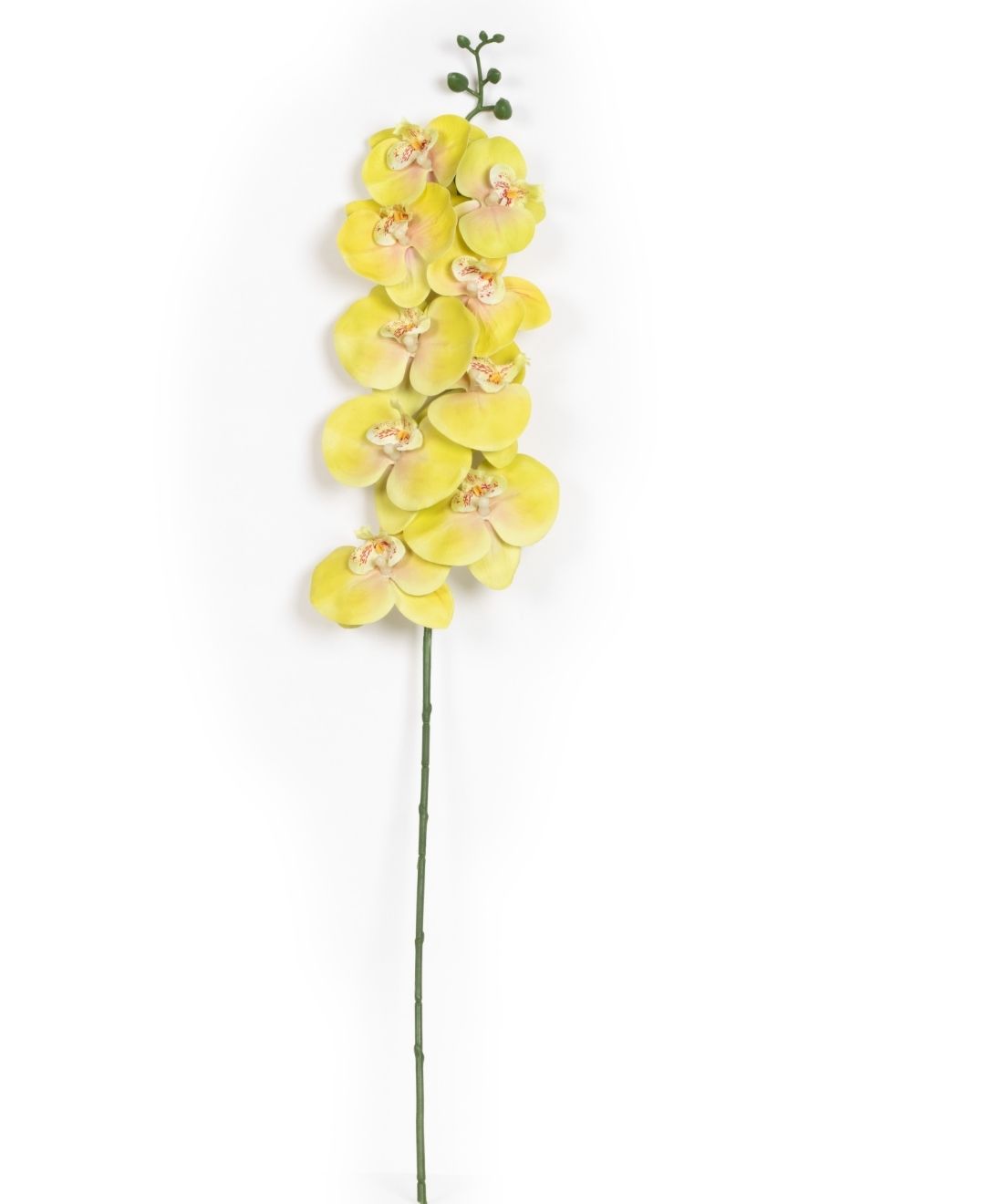 Forever Orchids: Elegant Faux Florals (Pack Of 4)