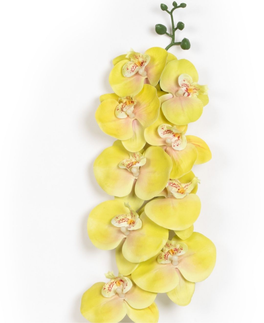 Forever Orchids: Elegant Faux Florals (Pack Of 4)