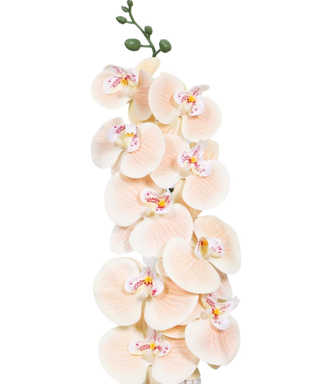 Forever Orchids: Elegant Faux Florals (Pack Of 4)