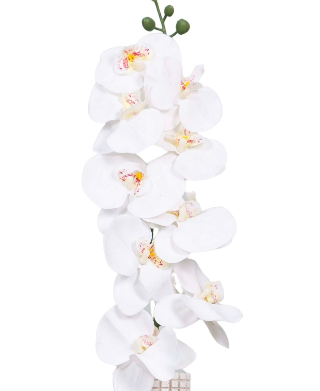 Forever Orchids: Elegant Faux Florals (Pack Of 4)