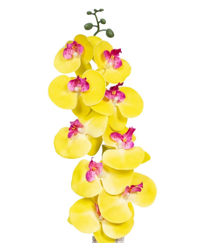 Forever Orchids: Elegant Faux Florals (Pack Of 4)